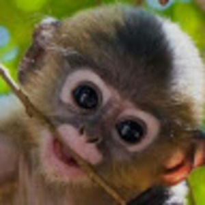 Meet your Posher, Chloe